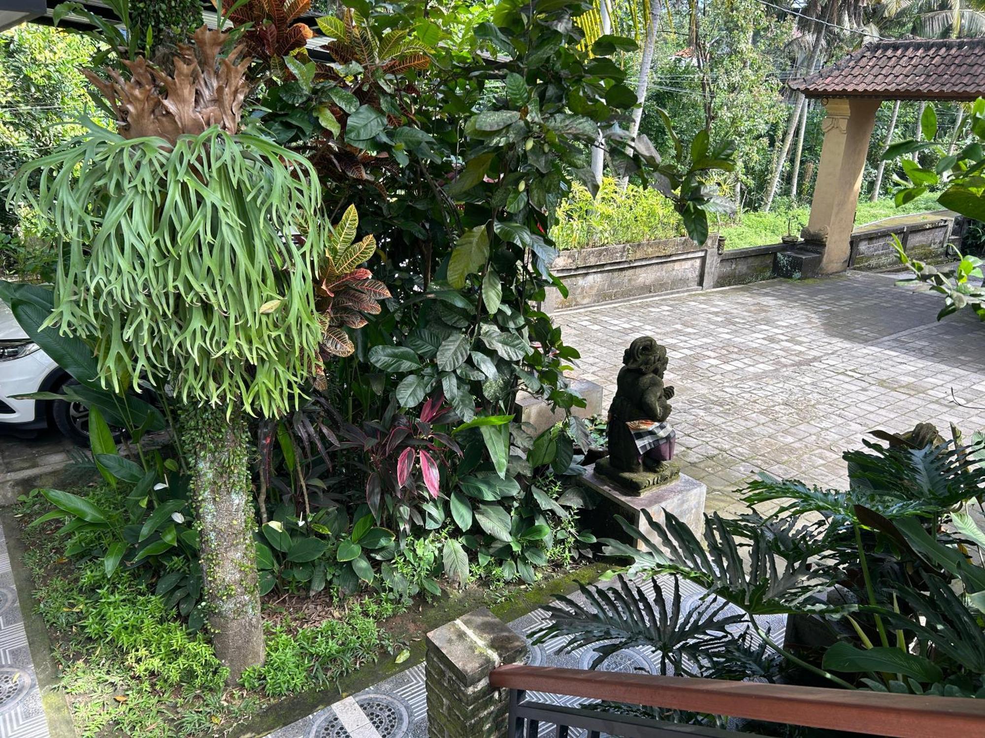 Balimas Wisma tamu