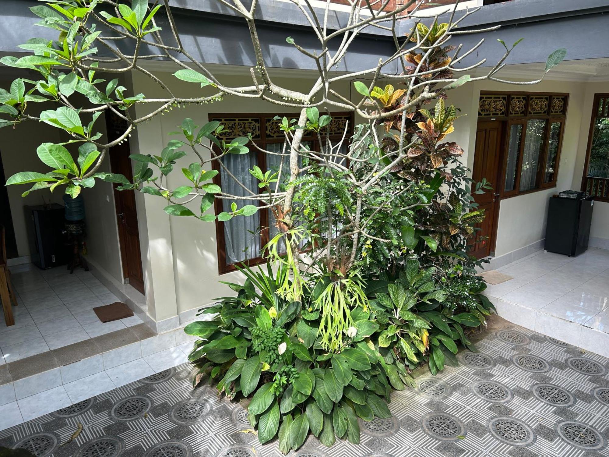 Wisma tamu Balimas