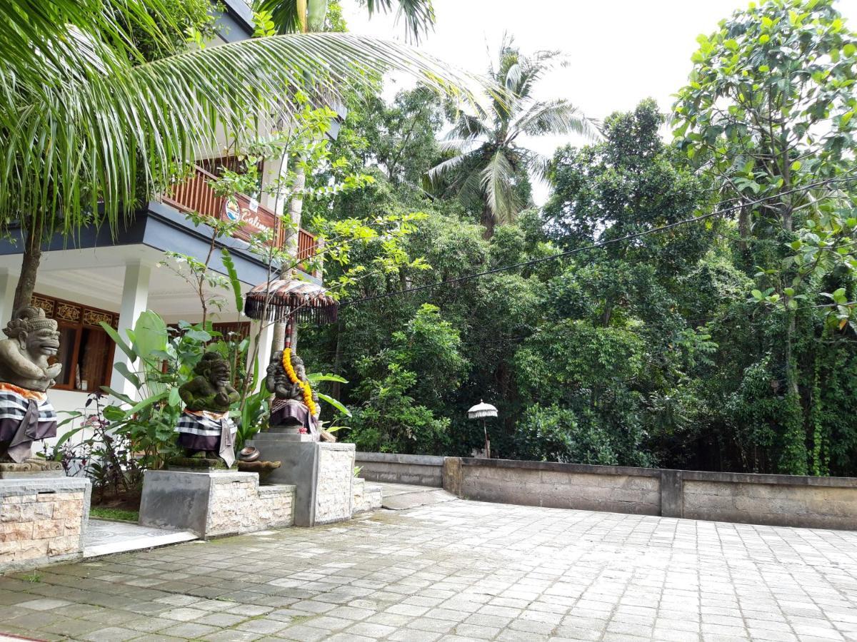 Balimas Wisma tamu *