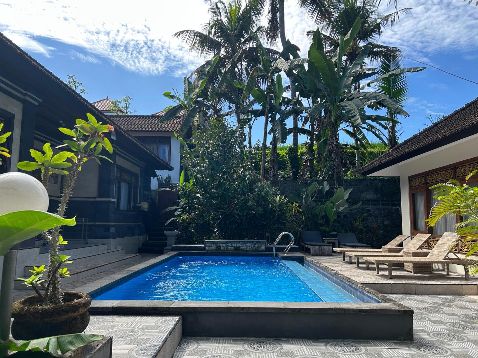 Balimas Guest house *